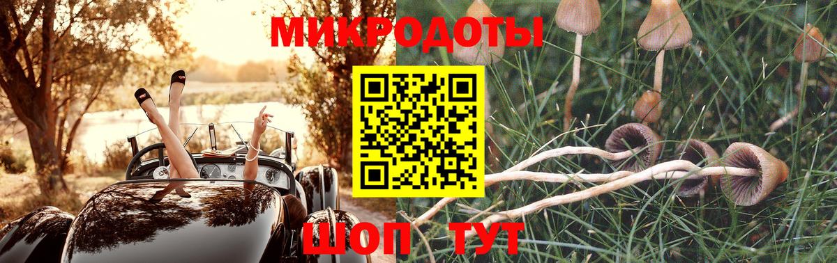 Псилоцибиновые грибы мухоморы  магазин продажи   Ленинск-Кузнецкий  Вход с VPN 