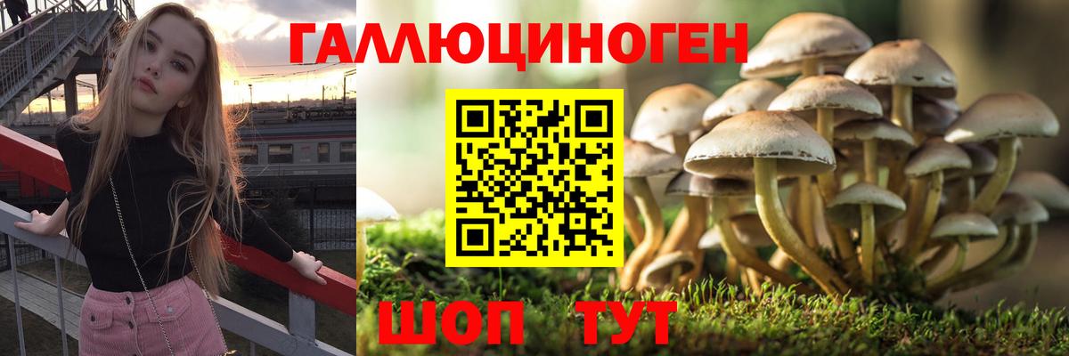 Конопля Ленинск-Кузнецкий